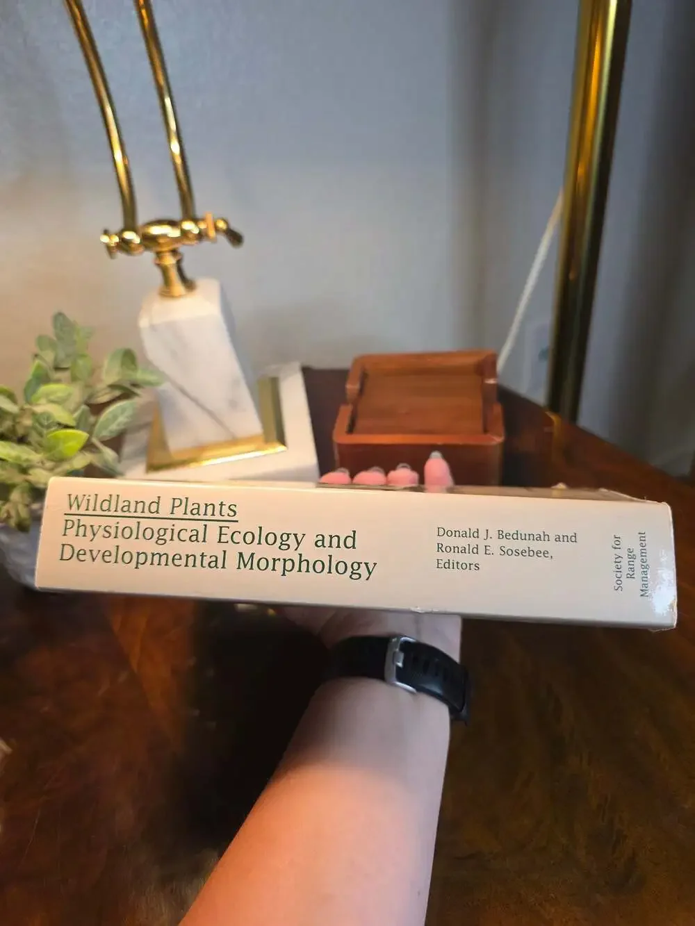 Wildland Plants: Physiological Ecology and Developmental Morphology (1995)